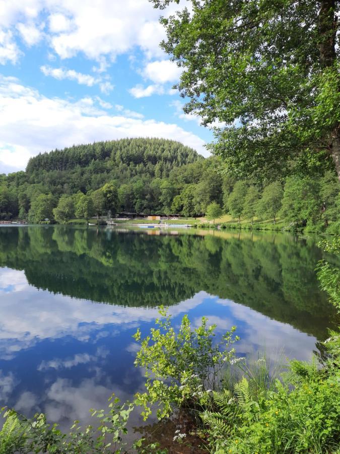 Ferienwohnung Ferien Am Maar Daun Exterior foto